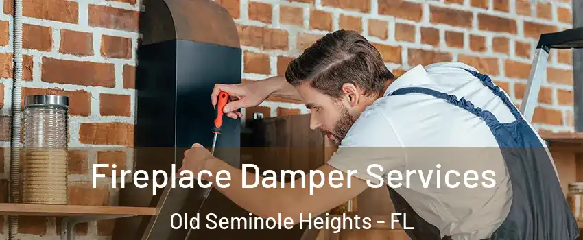 Fireplace Damper Services Old Seminole Heights - FL