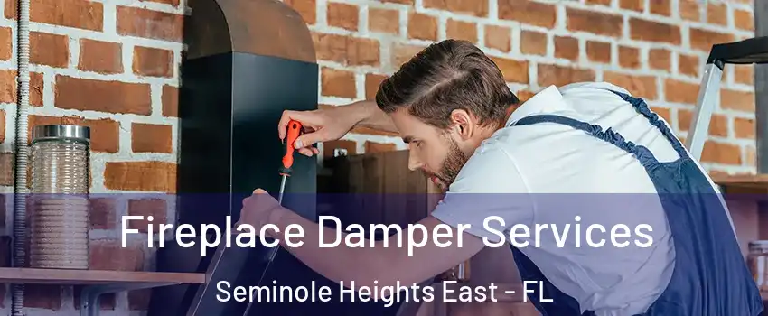 Fireplace Damper Services Seminole Heights East - FL