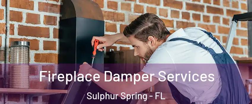 Fireplace Damper Services Sulphur Spring - FL