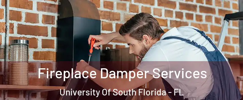 Fireplace Damper Services University Of South Florida - FL