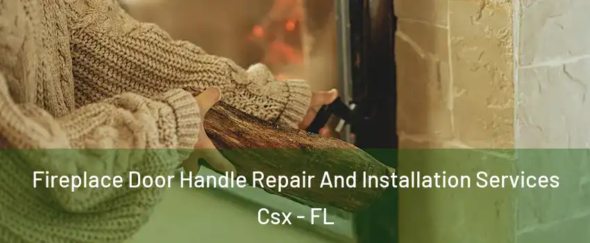 Fireplace Door Handle Repair And Installation Services Csx - FL