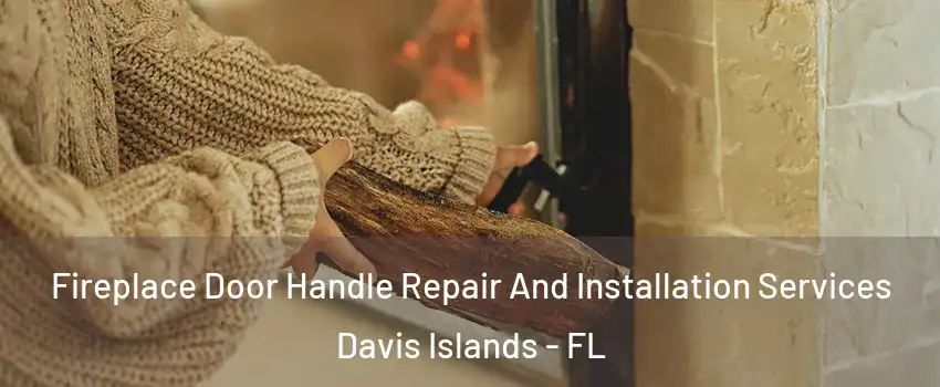 Fireplace Door Handle Repair And Installation Services Davis Islands - FL