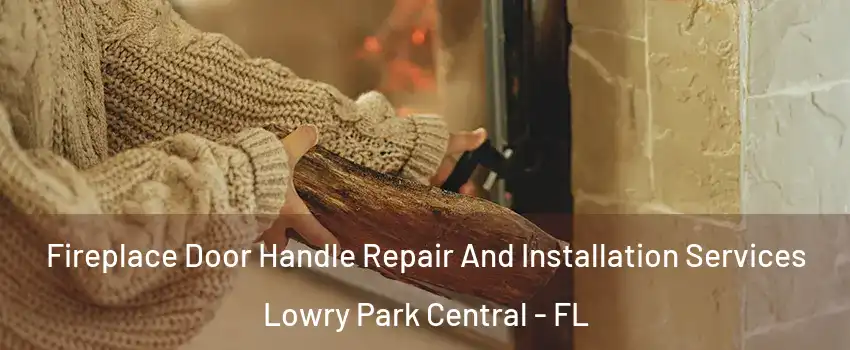 Fireplace Door Handle Repair And Installation Services Lowry Park Central - FL