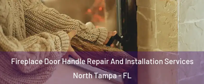 Fireplace Door Handle Repair And Installation Services North Tampa - FL