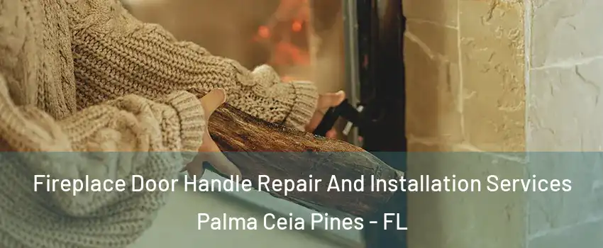 Fireplace Door Handle Repair And Installation Services Palma Ceia Pines - FL