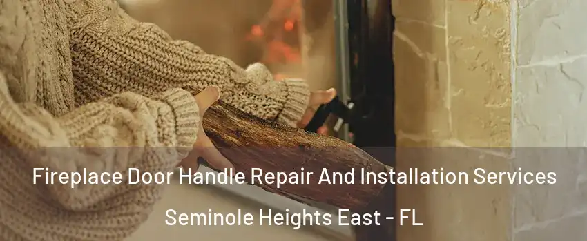 Fireplace Door Handle Repair And Installation Services Seminole Heights East - FL