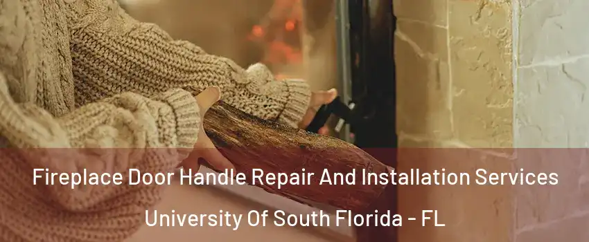 Fireplace Door Handle Repair And Installation Services University Of South Florida - FL