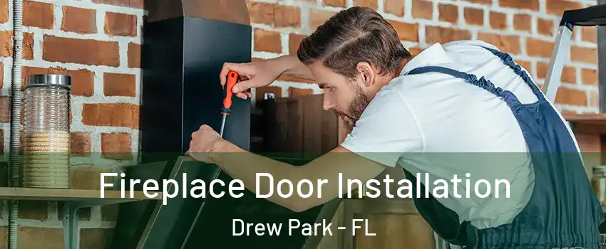 Fireplace Door Installation Drew Park - FL