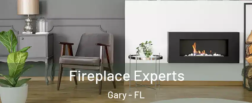 Fireplace Experts Gary - FL