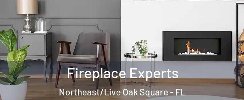 Fireplace Experts Northeast/Live Oak Square - FL