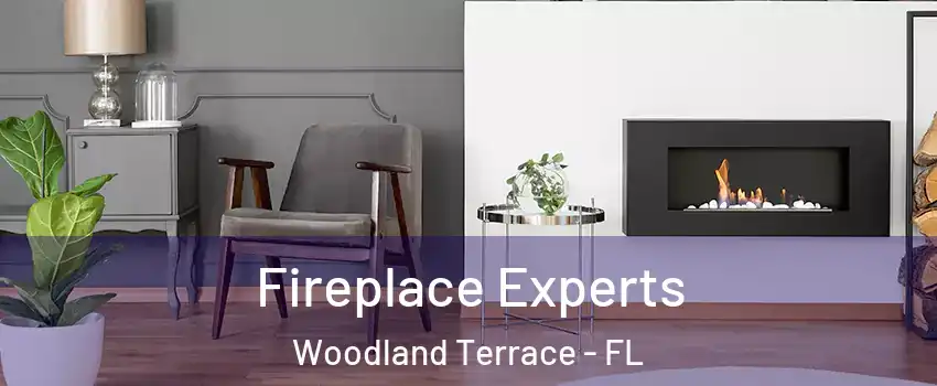 Fireplace Experts Woodland Terrace - FL