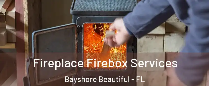 Fireplace Firebox Services Bayshore Beautiful - FL