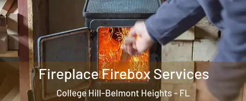 Fireplace Firebox Services College Hill-Belmont Heights - FL