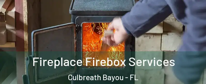 Fireplace Firebox Services Culbreath Bayou - FL