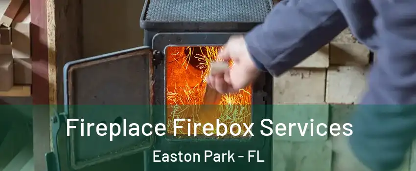 Fireplace Firebox Services Easton Park - FL