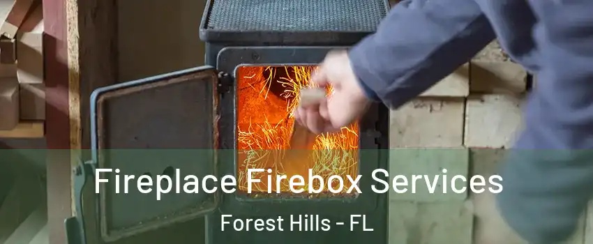 Fireplace Firebox Services Forest Hills - FL