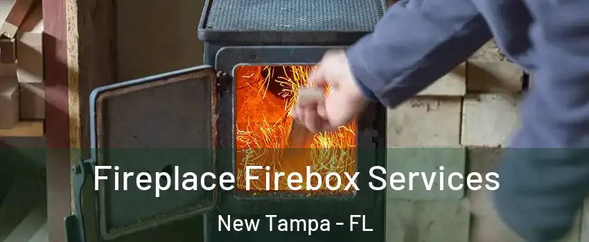 Fireplace Firebox Services New Tampa - FL