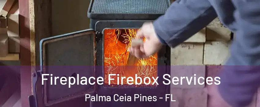 Fireplace Firebox Services Palma Ceia Pines - FL