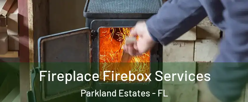 Fireplace Firebox Services Parkland Estates - FL