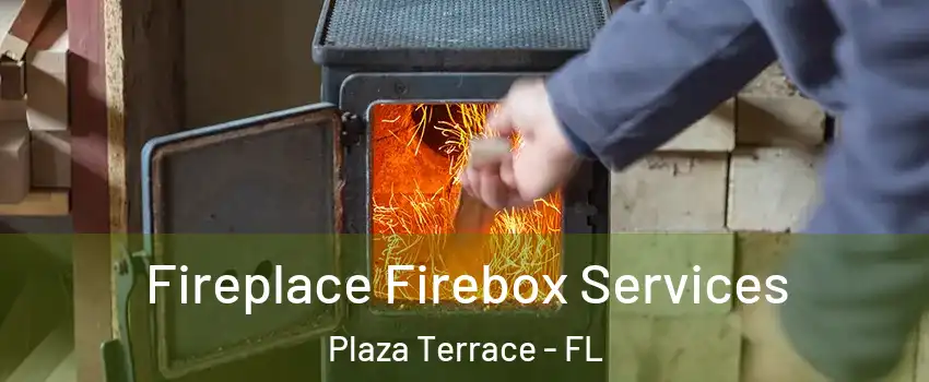 Fireplace Firebox Services Plaza Terrace - FL