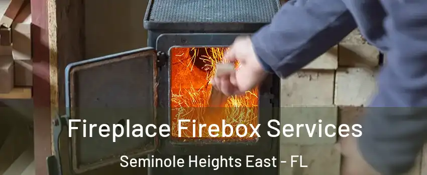 Fireplace Firebox Services Seminole Heights East - FL