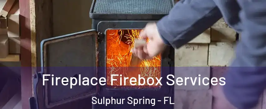 Fireplace Firebox Services Sulphur Spring - FL