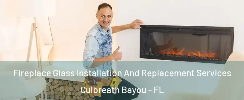 Fireplace Glass Installation And Replacement Services Culbreath Bayou - FL