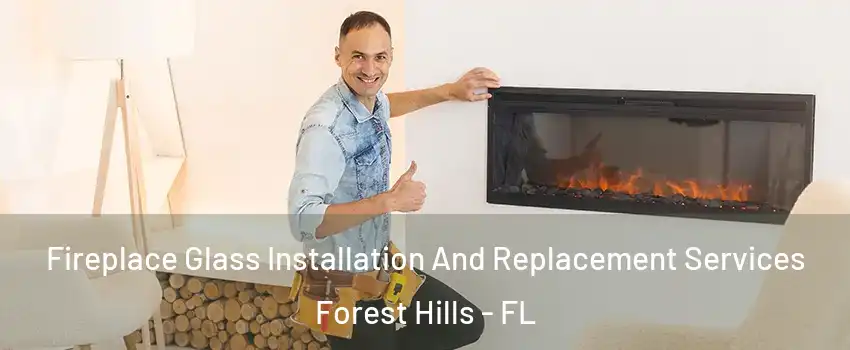 Fireplace Glass Installation And Replacement Services Forest Hills - FL