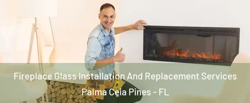 Fireplace Glass Installation And Replacement Services Palma Ceia Pines - FL