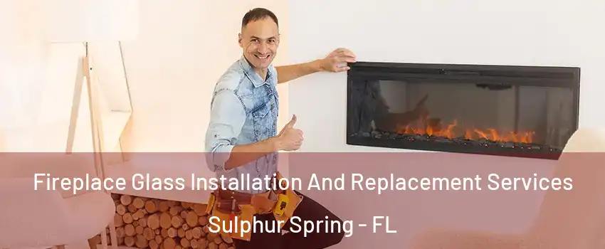 Fireplace Glass Installation And Replacement Services Sulphur Spring - FL