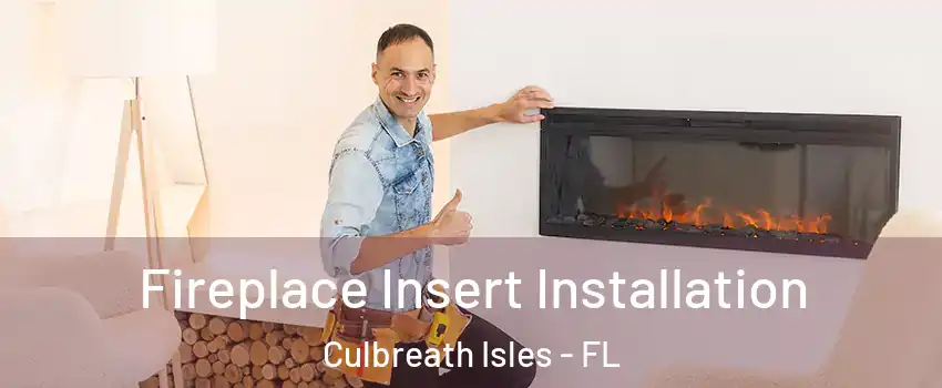 Fireplace Insert Installation Culbreath Isles - FL