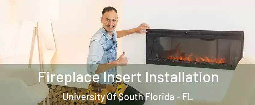 Fireplace Insert Installation University Of South Florida - FL