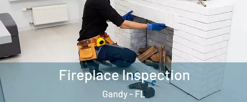 Fireplace Inspection Gandy - FL