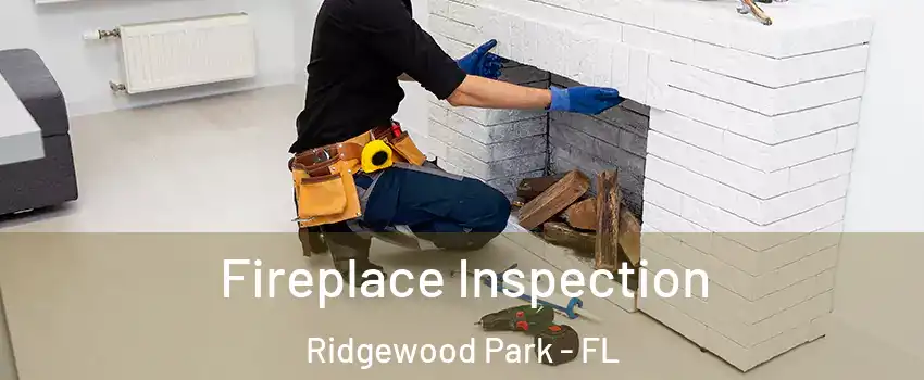 Fireplace Inspection Ridgewood Park - FL