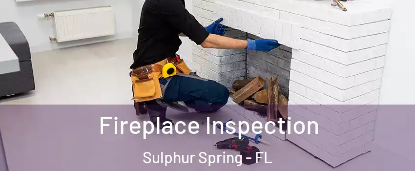 Fireplace Inspection Sulphur Spring - FL