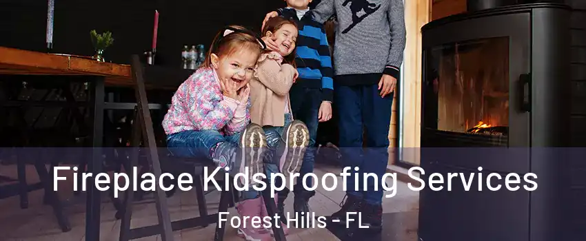 Fireplace Kidsproofing Services Forest Hills - FL