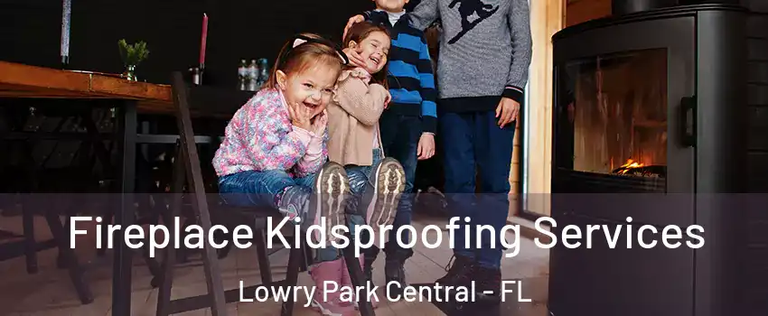 Fireplace Kidsproofing Services Lowry Park Central - FL