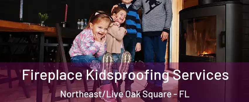 Fireplace Kidsproofing Services Northeast/Live Oak Square - FL