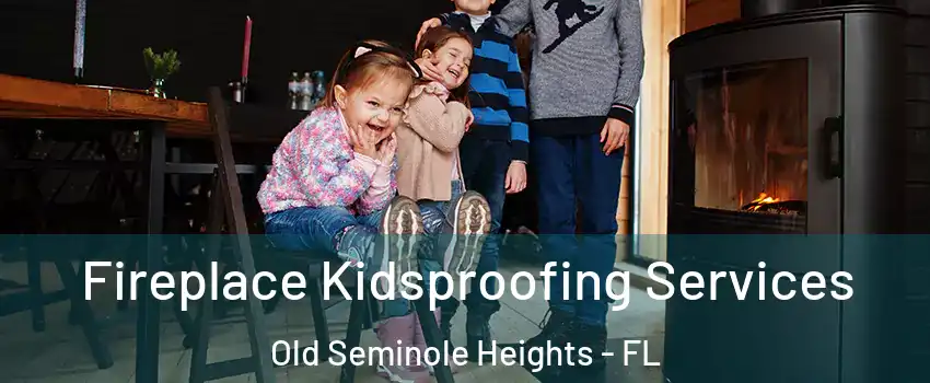 Fireplace Kidsproofing Services Old Seminole Heights - FL