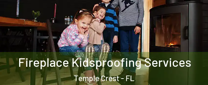 Fireplace Kidsproofing Services Temple Crest - FL