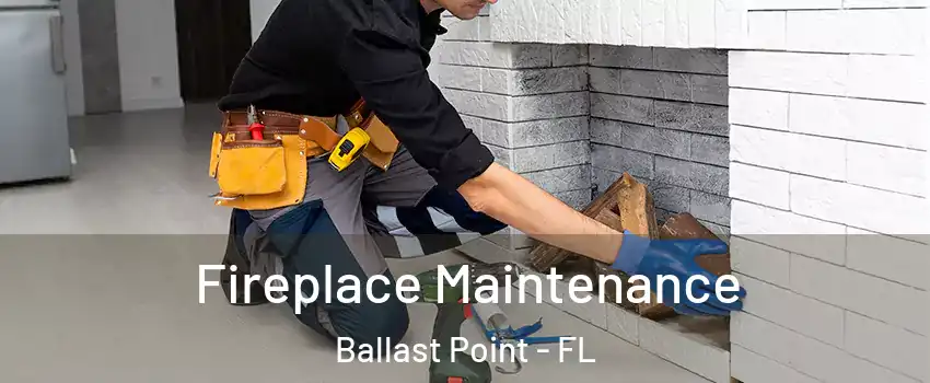 Fireplace Maintenance Ballast Point - FL