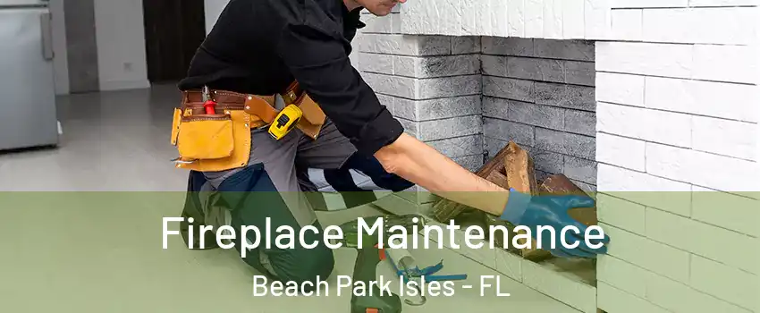 Fireplace Maintenance Beach Park Isles - FL