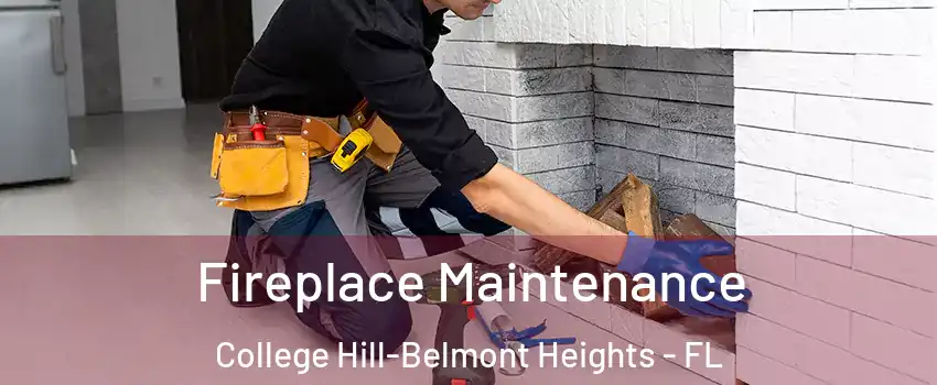 Fireplace Maintenance College Hill-Belmont Heights - FL