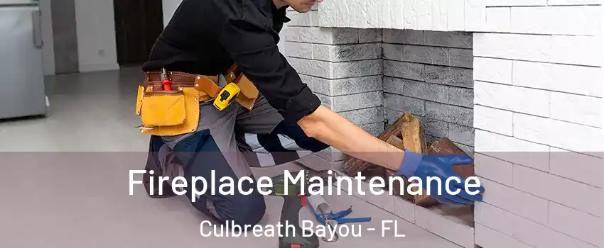 Fireplace Maintenance Culbreath Bayou - FL