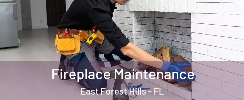 Fireplace Maintenance East Forest Hills - FL