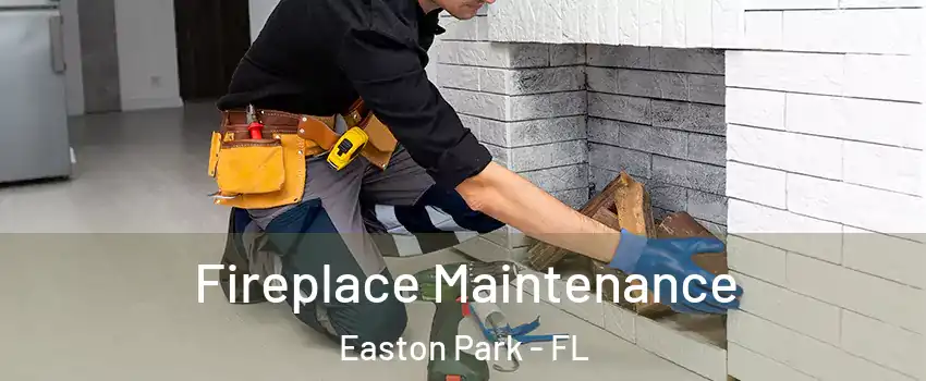 Fireplace Maintenance Easton Park - FL