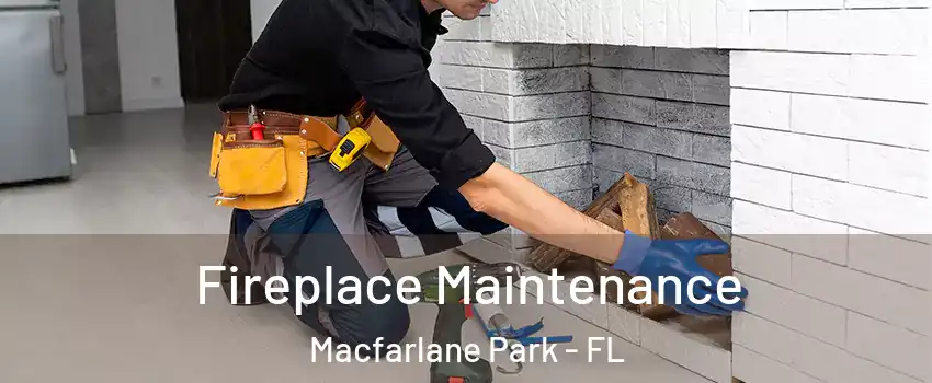 Fireplace Maintenance Macfarlane Park - FL