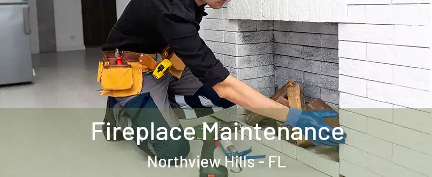 Fireplace Maintenance Northview Hills - FL