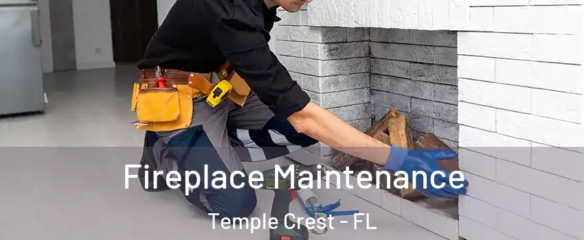 Fireplace Maintenance Temple Crest - FL