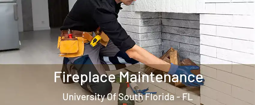 Fireplace Maintenance University Of South Florida - FL